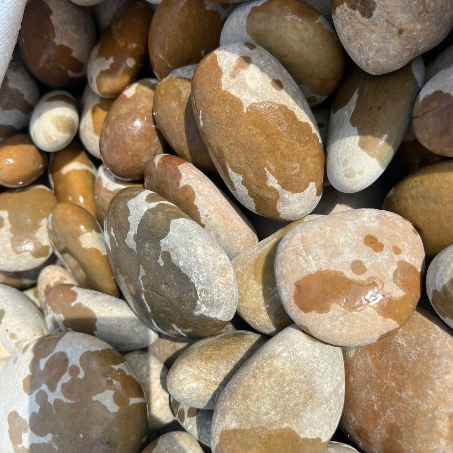 Porto Pebbles šµš¹