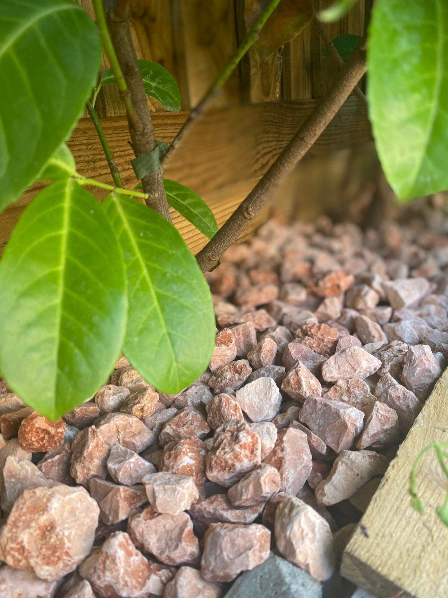 Copper Rosso Verona Stone Gravel ๐ฎ๐น