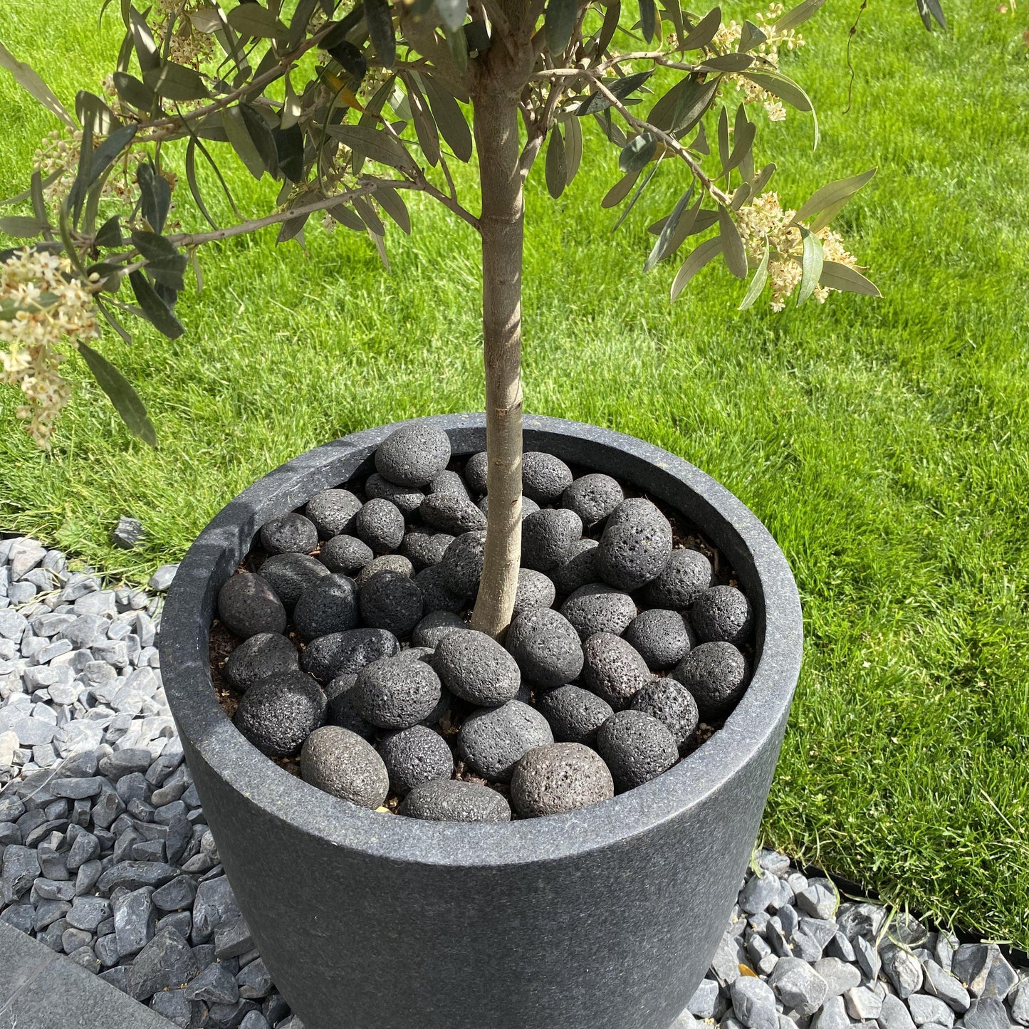 Black Lava Pebbles-Pebble-Stones4Gardens-stones4gardens