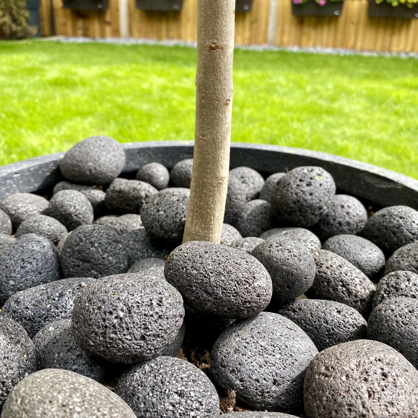 Black Lava Pebbles-Pebble-Stones4Gardens-stones4gardens