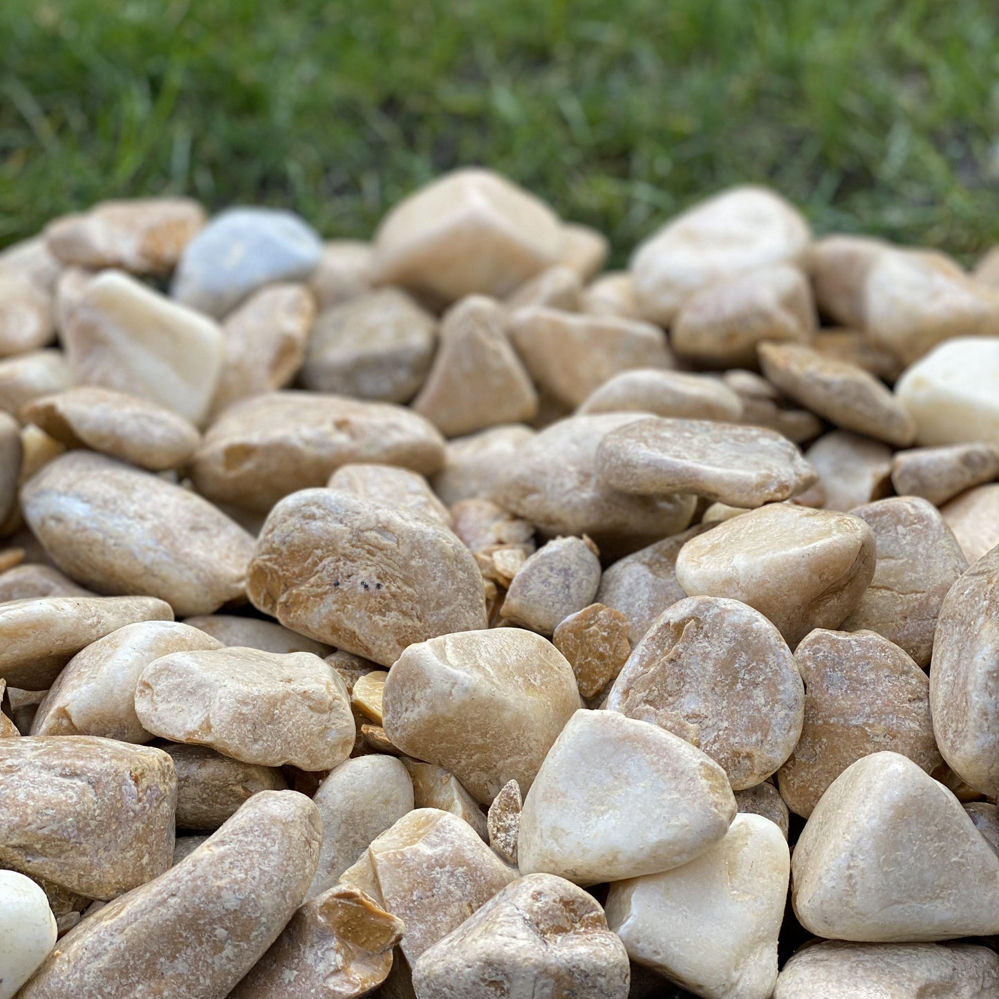 Giallo Siena Pebbles-Pebble-Stones4Gardens-stones4gardens