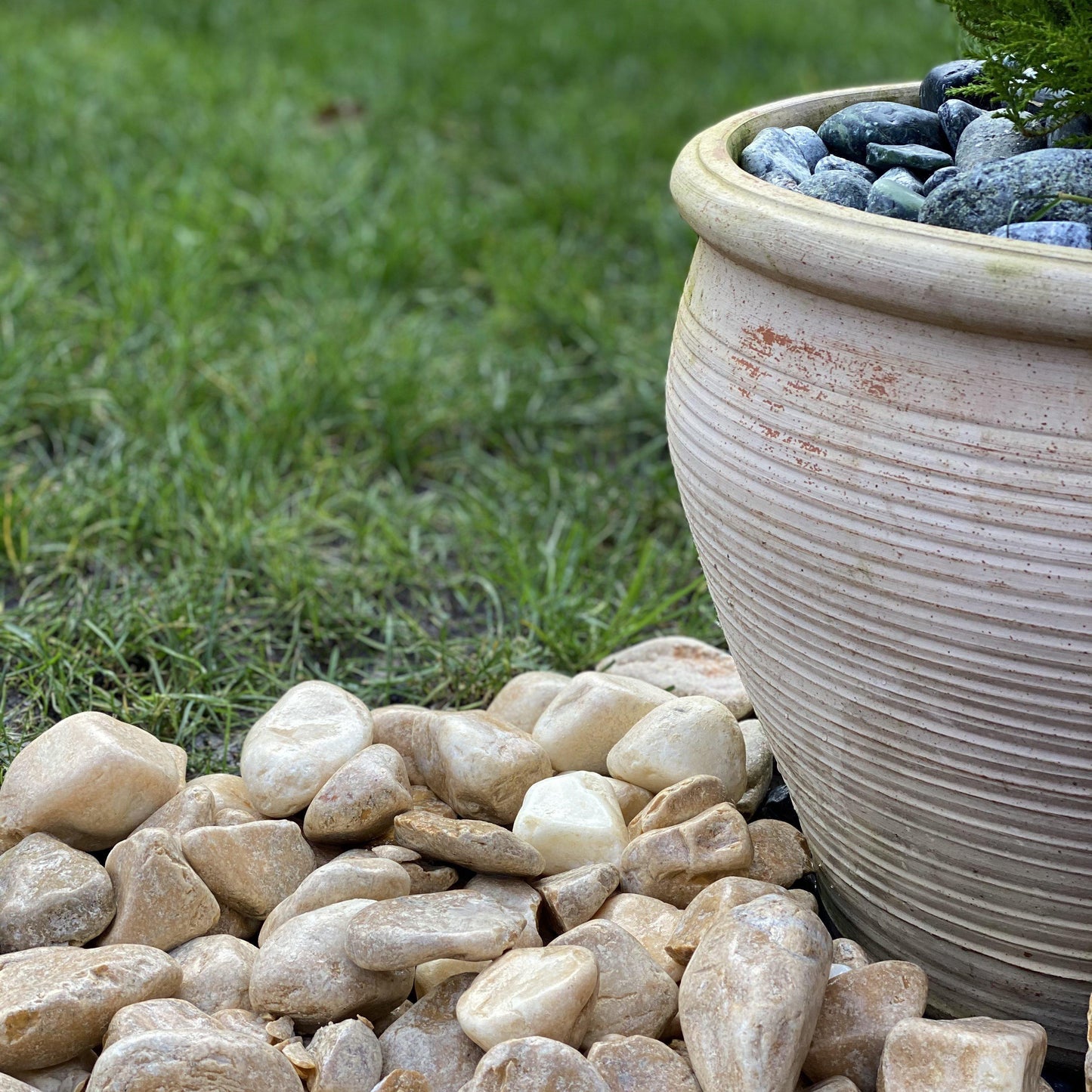 Giallo Siena Pebbles-Pebble-Stones4Gardens-stones4gardens