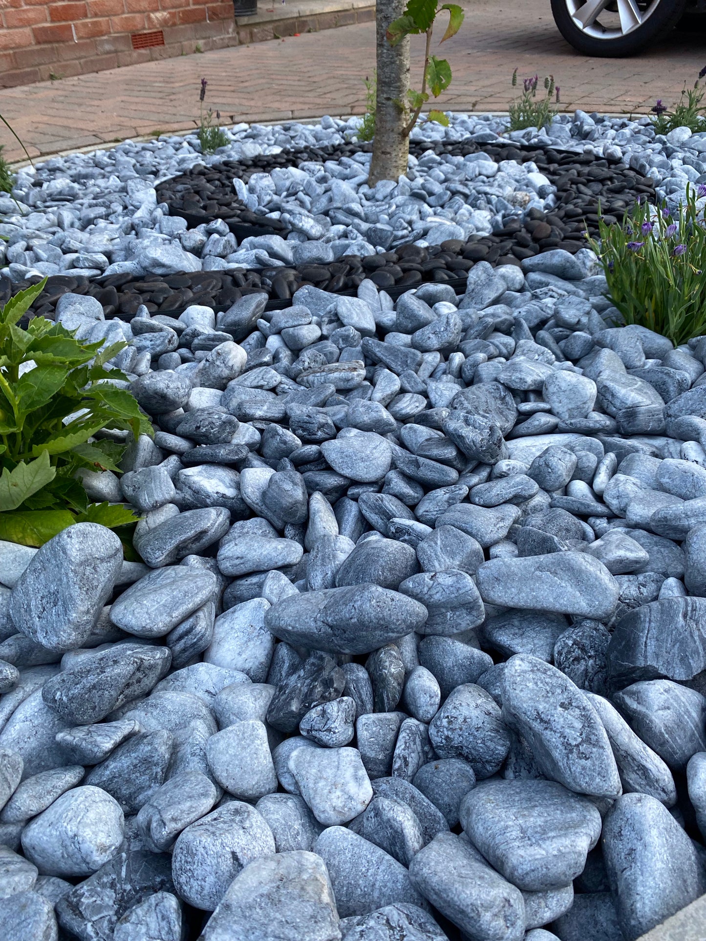 Kronos Pebbles š¬š·