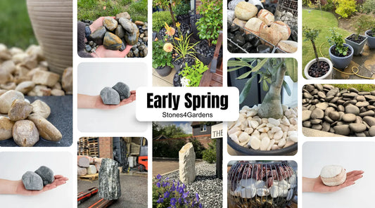 5 Best Ideas for Garden Transformation