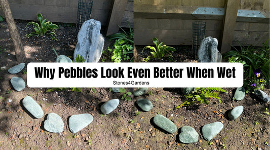 Why Pebbles Look Even Better When Wet