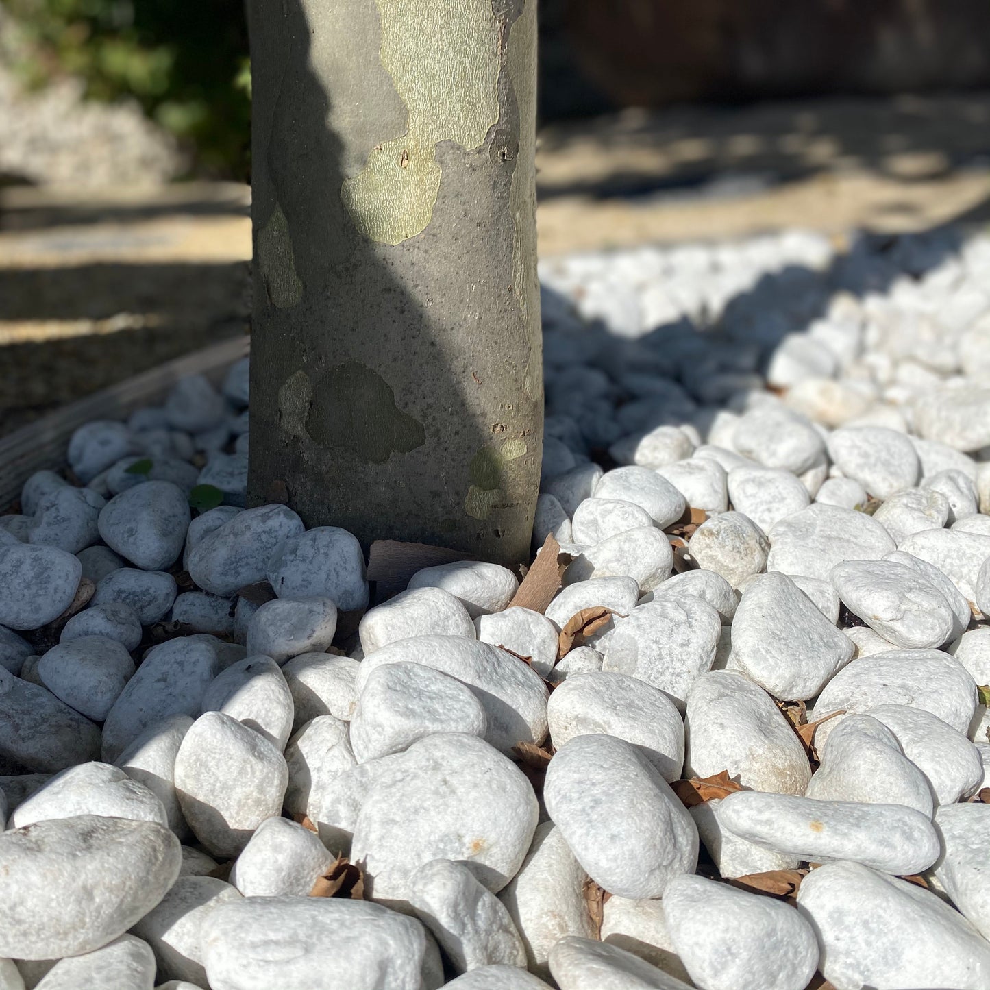 Bianco Carrara Pebbles 🇮🇹