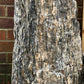 Monolith Stone - Wooden Stone