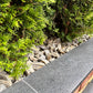 Maple Bark „Gneiss” Gravel 🇵🇱