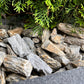 Maple Bark „Gneiss” Gravel 🇵🇱