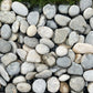 Japanese Flat "Greige" Pebbles