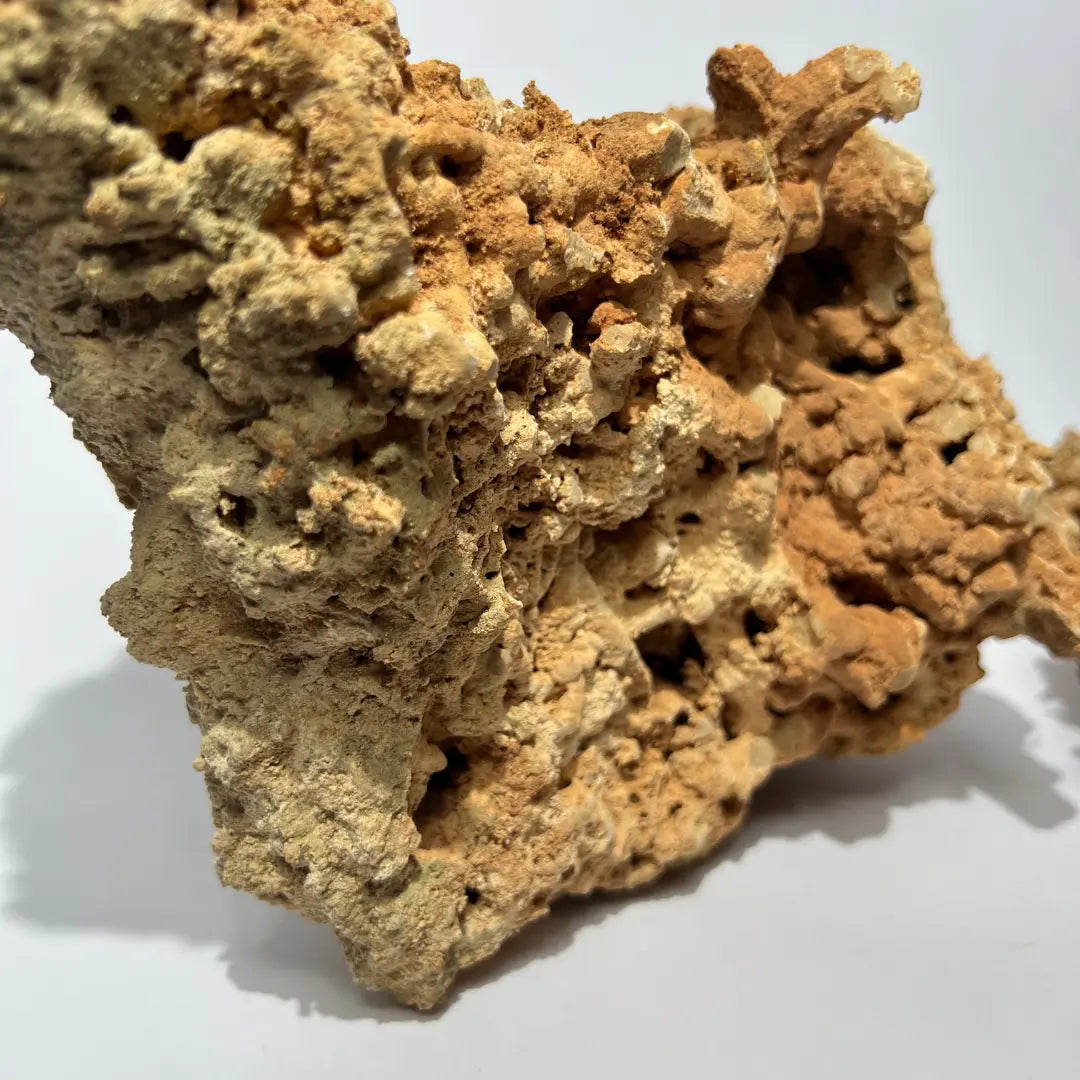 Set of Spaghetti Desert Rocks