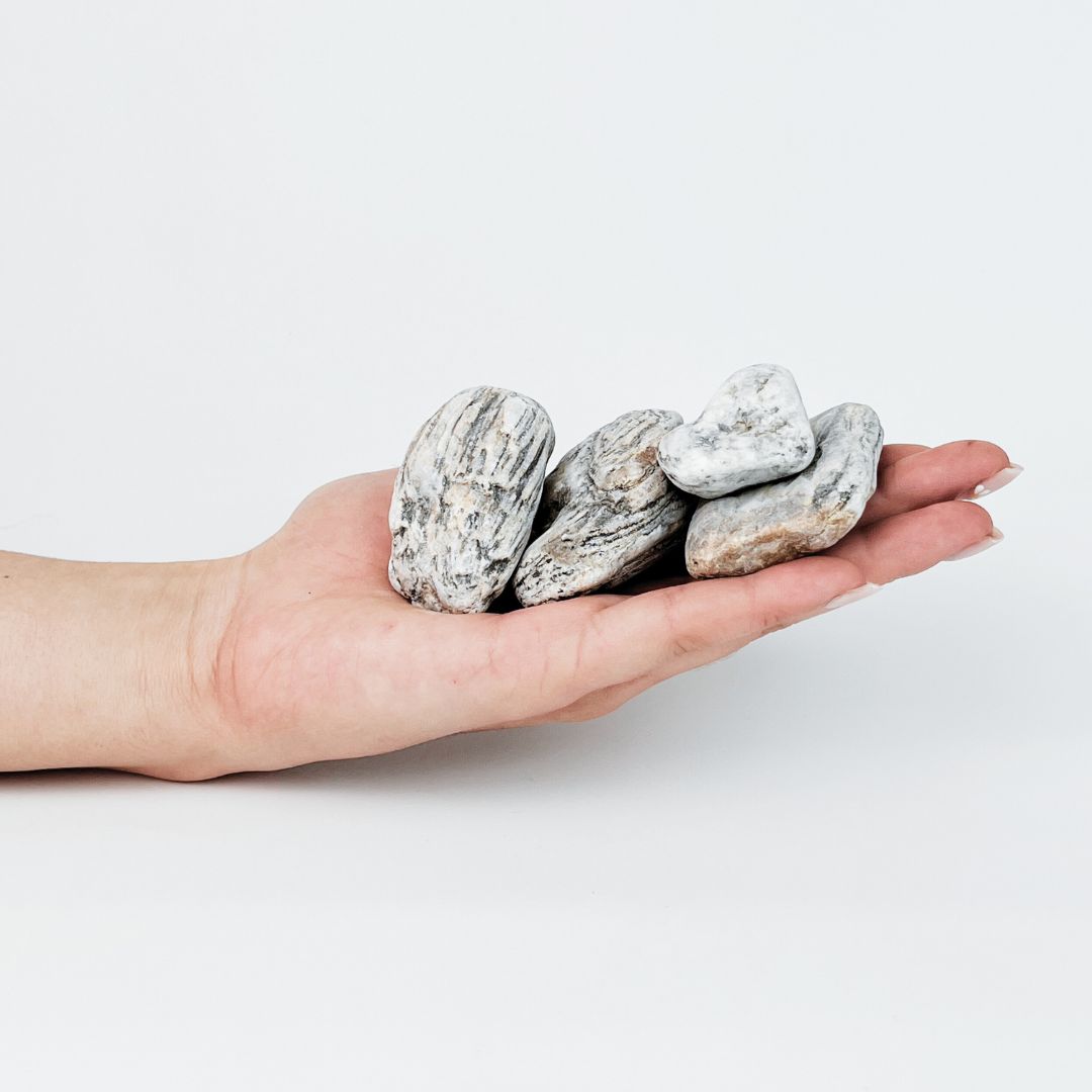 Maple Bark „Gneiss” Pebbles 🇵🇱
