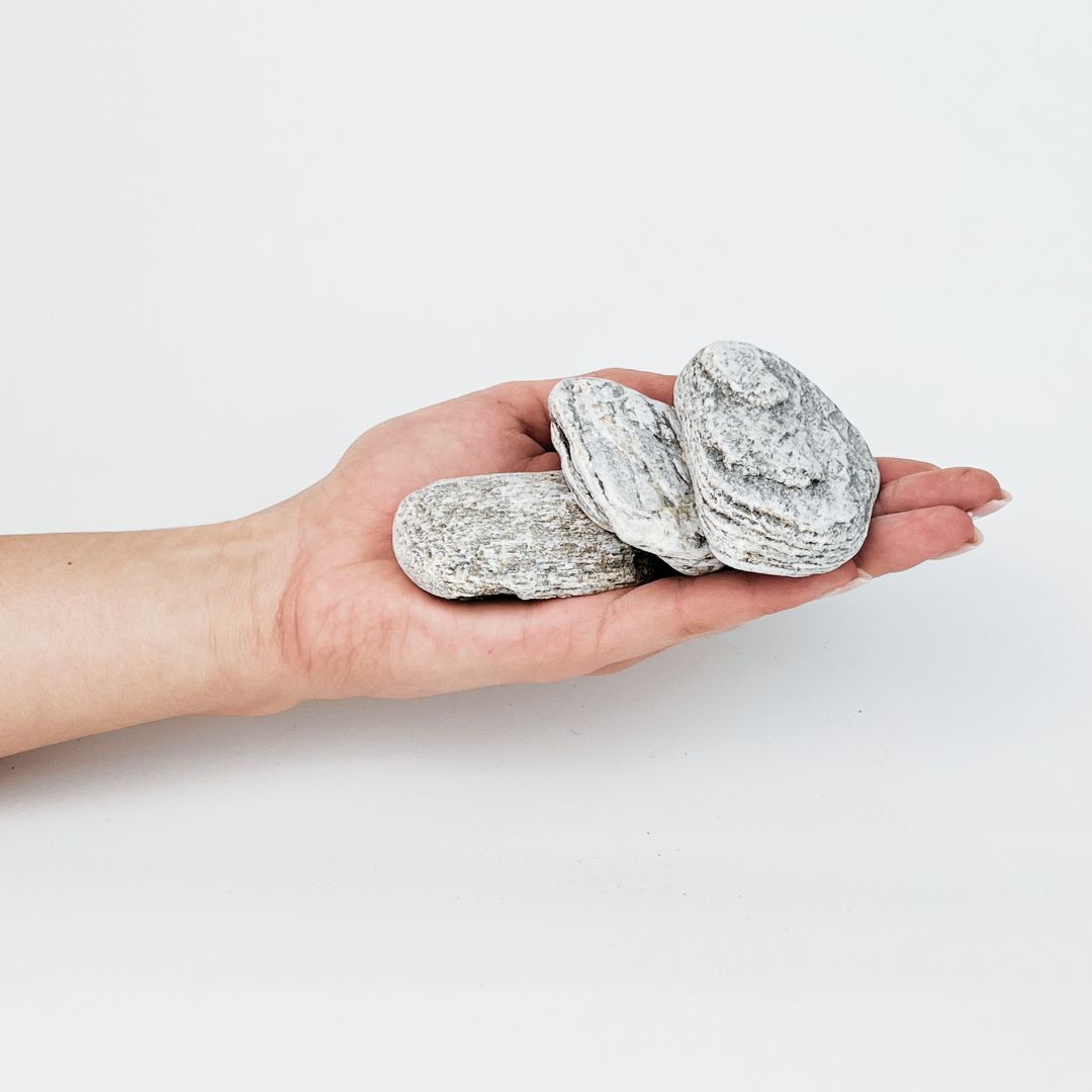 Maple Bark „Gneiss” Pebbles 🇵🇱