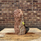 Monolith MON-094