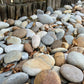 Japanese Multicoloured Pebbles 🇯🇵