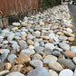 Japanese Multicoloured Pebbles 🇯🇵