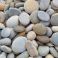 Japanese Multicolored Flat Pebbles-Pebble-stones4gardens-stones4gardens
