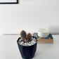 Bianco Carrara White Gravel-Gravel-Stones4Gardens-stones4gardens