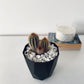 Bianco Carrara White Gravel-Gravel-Stones4Gardens-stones4gardens