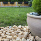Giallo Siena Pebbles-Pebble-Stones4Gardens-stones4gardens