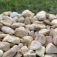 Giallo Siena Pebbles-Pebble-Stones4Gardens-stones4gardens