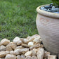 Giallo Siena Pebbles-Pebble-Stones4Gardens-stones4gardens