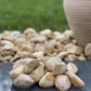 Giallo Siena Pebbles-Pebble-Stones4Gardens-stones4gardens