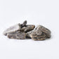 Maple Bark Pebbles-Pebble-stones4gardens-stones4gardens