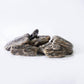 Maple Bark Pebbles-Pebble-stones4gardens-stones4gardens
