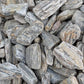 Maple Bark Pebbles-Pebble-stones4gardens-stones4gardens
