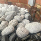 Silver Granite “Eggs” Cobbles - Pebbles-Pebble-stones4gardens-stones4gardens