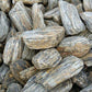 Maple Bark Pebbles-Pebble-stones4gardens-stones4gardens