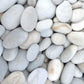 Porto Pebbles-Pebble-stones4gardens-stones4gardens