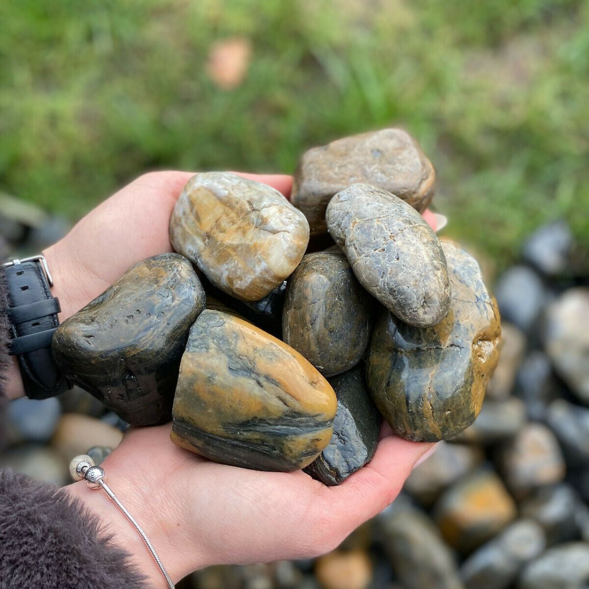 Tiger Stripe Pebbles-Pebble-stones4gardens-stones4gardens