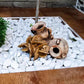 Snow-White Thassos Marble Pebbles-Pebble-Stones4Gardens-stones4gardens