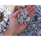 Silver Granite Gravel-Gravel-Stones4Gardens-stones4gardens